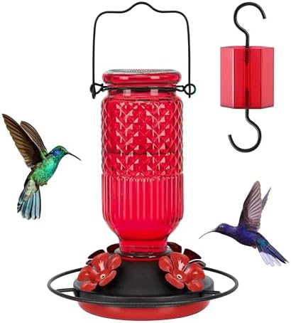 FEED GARDEN Glass Hummingbird Feeder, 16oz Outdoor Hanging Bird Feeder with Ant Moat, 4 Bee-Proof Feeding Ports, 360° Perch, Leak-Proof, Red