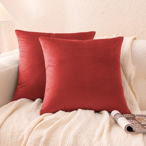 Amazon Basics Velvet Throw Pillow Covers, Soft Decorative Square Cushion Cases Modern Home Decor for Sofa, Couch, Bed, 18 × 18in, Burgundy, Pack of 2