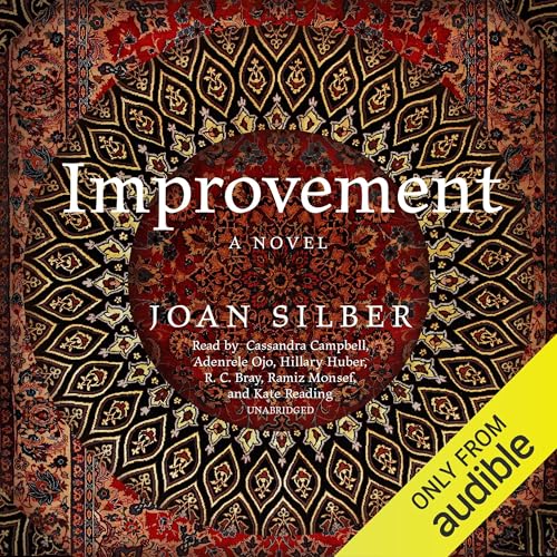 Improvement: A Novel
